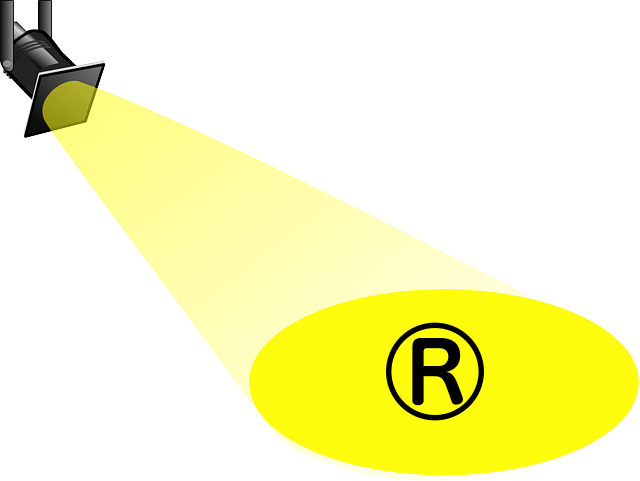 TM TKO Brand Spotlight